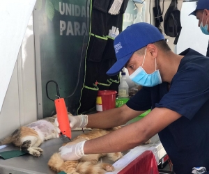 Jornada de Esterilización