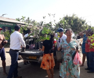 Entrega de árboles frutales en el Magdalena