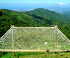 Casa Elemento.