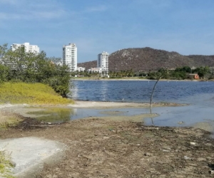 Humedal en el sector de Pozos Colorados.