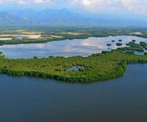 Ciénaga grande de Santa Marta