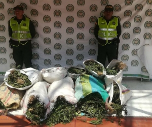 Marihuana erradicada en Palmor.