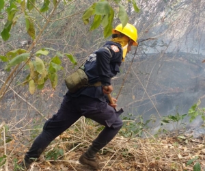 En el municipio se han registrado 33 incendios forestales en el presente año. 