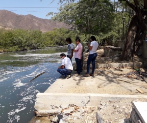 La mortandad de peces se registra en el canal de Las Iguanas, en El Rodadero.