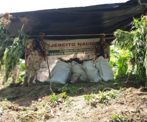 Descubren centro de acopio de marihuana