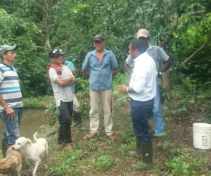 Campesinos que se unieron al proyecto de la Alcaldía.