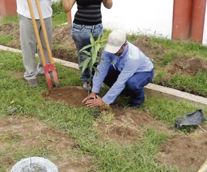 Siembra de arboles en conmemoración al día de la tierra