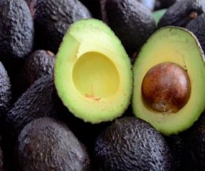 Aguacate Hass será exportado por el Puerto de Santa Marta. 