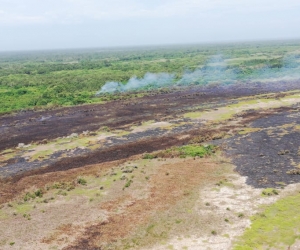 Incendio en el Vía Parque Isla de Salamanca.