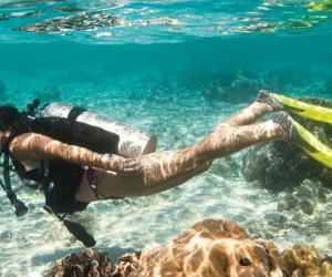 Sumérgete como un pez en las aguas cristalinas de la samaria