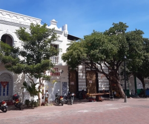 Así luce este miércoles la plaza de la Catedral.