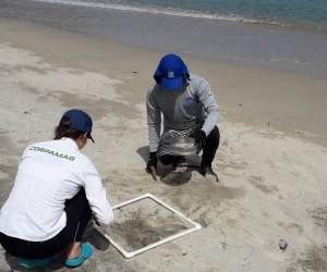 Monitoreo en playas de Santa Marta