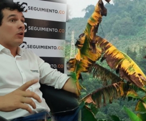 José Francisco Zúñiga, presidente de Asbama, aclara mitos sobre el hongo que afecta cultivos en La Guajira.