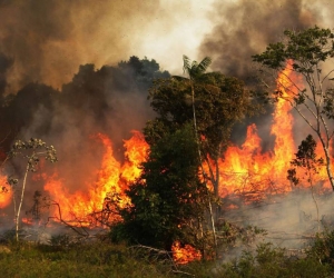 Incendios en la amazonía brasileña.