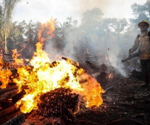 Bomberos sofocan incendio en la amazonía brasileña.