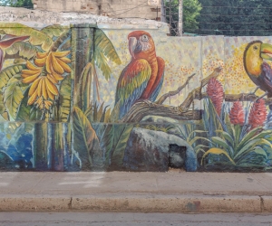 Murales en el Centro Histórico de Santa Marta.