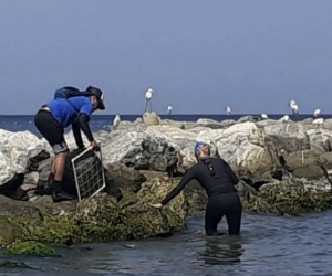 Toma de muestra de aguas en playas de Santa Marta