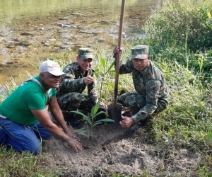 Siembra de árboles en Guachaca