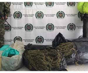 La droga, según la Policía, está avaluada en cerca de 25 millones de pesos. 