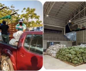  Las donaciones se realizaron por intermedio de Banco de Alimentos de la Pastoral Social de Santa Marta y el Banco de Alimentos de la Gobernación del Magdalena.