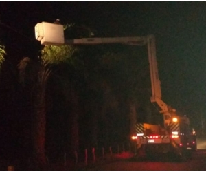 El vendaval provocó la caída de árboles sobre las redes en el municipio de Aracataca, afectando varios sectores de esta población.