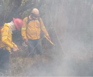 Incendio en el Vía Parque Isla de Salamanca.