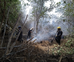 Desde la tarde del martes se presenta el incendio.