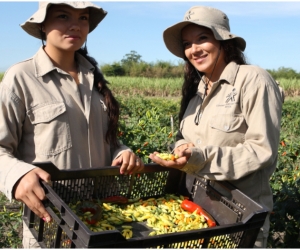 En la actualidad, el 44 % de los emprendimientos beneficiados por Fondo Emprender han sido para mujeres de 597 municipios del país.