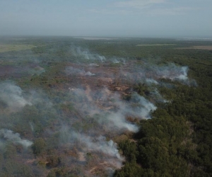 Incendio en el Vía Parque Isla de Salamanca.