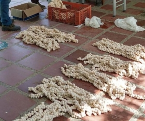 La incautación de los huevos se llevó a cabo en Ciénaga. 