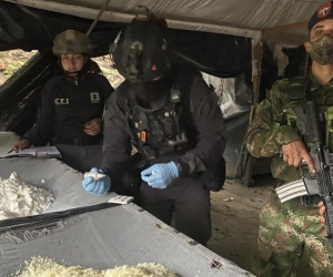 Droga incautada en Nariño.