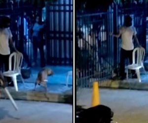 Momentos en el que llevaban al perro para asesinarlo.