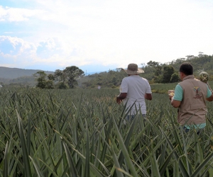 La Unidad de Restitución de Tierras busca hacer presencia en todo el territorio nacional.