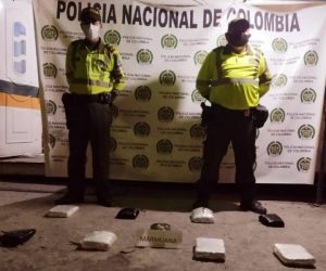 Marihuana incautada en el camión de encomiendas.