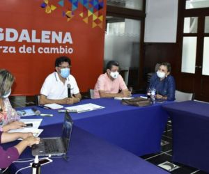 Primer Comité Departamental del Sistema de Responsabilidad Penal para Adolescentes del Magdalena.