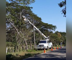 Trabajos en la zona afectada.