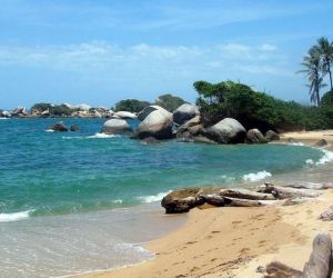 El caimán aguja apareció en Cabo San Juan.