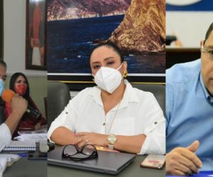 Los dos integrantes de Fuerza Ciudadana demanda a la diputada de Cambio Radical. 
