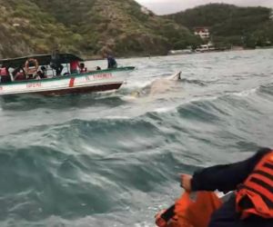 Rescate entre El Rodadero y Playa Blanca.