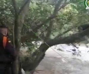 Captura de Video. Una acción policial permitió salvaguardar la vida e integridad de las ciudadanas.