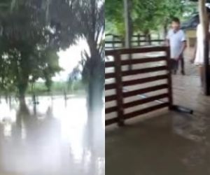 Entre el agua quedaron algunas fincas y parcelas. 