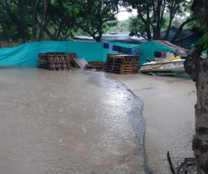 Inundaciones en albergues de animales.