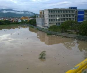 El estancamiento de las aguas ha permitido la proliferación de mosquitos.