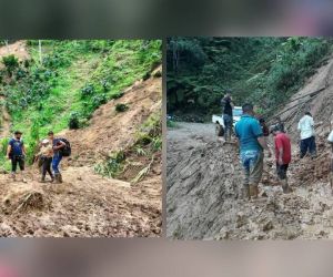 Más de 14 mil hectáreas de café están en riesgo de perderse.