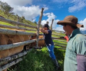 Dicho resultado fue dado a conocer en el tercer informe de avance estadístico del segundo Ciclo de Vacunación contra la fiebre aftosa y la brucelosis bovina