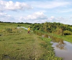Los humedales a intervenir hacen parte de la red de cuerpos de agua del departamento del Magdalena
