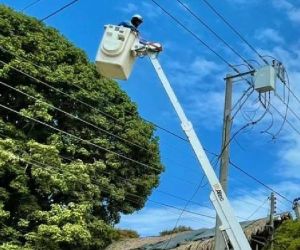 Air-e adelanta acciones preventivas en favor del medio ambiente en el Magdalena.