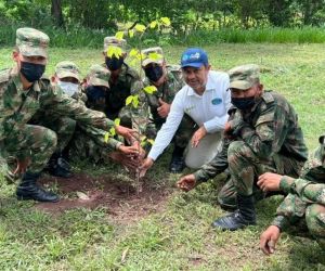 Del 22 al 29 de abril se sembrarán en el departamento del Magdalena especies nativas como Guácimo, Guayacán, Pui, Macondo, entre otros.