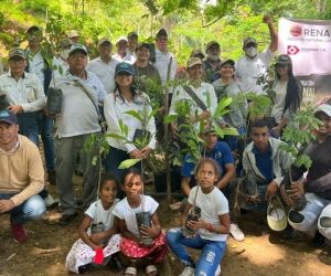 Jornada de siembra de árboles