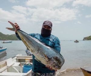 Festival de Pesca Artesanal en Taganga.